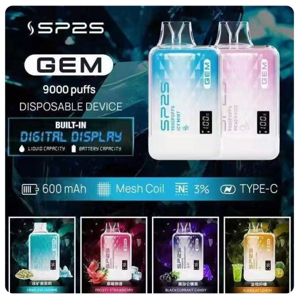 SP2S 主機續航與充電真實評價，重度使用表現如何
